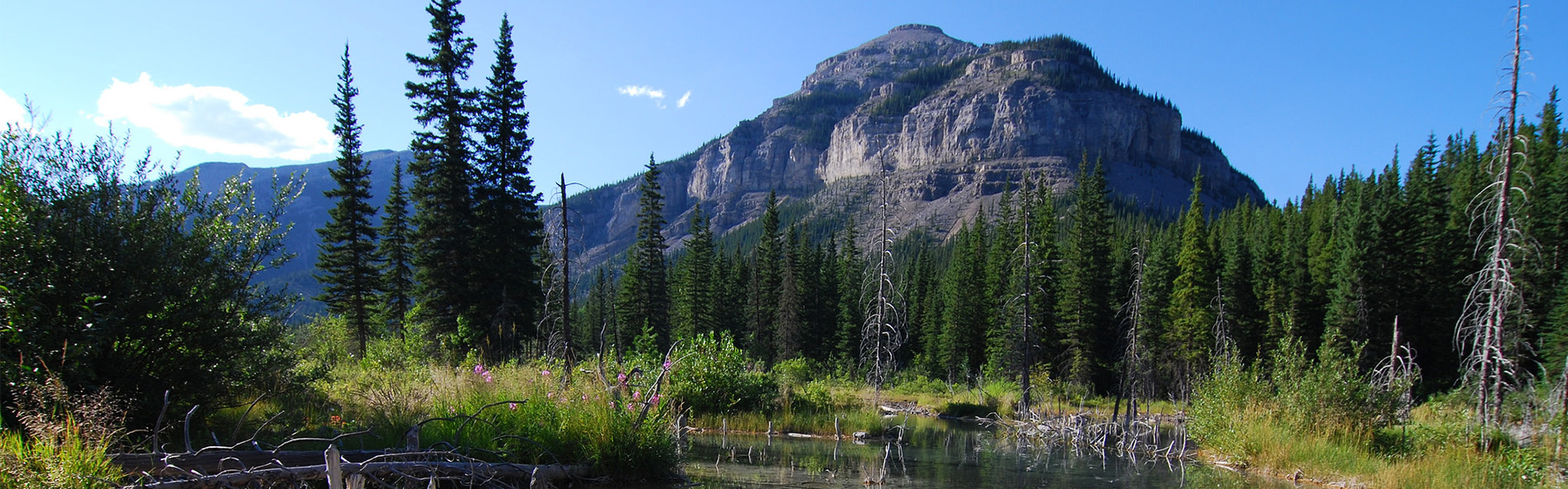 Alberta Parks