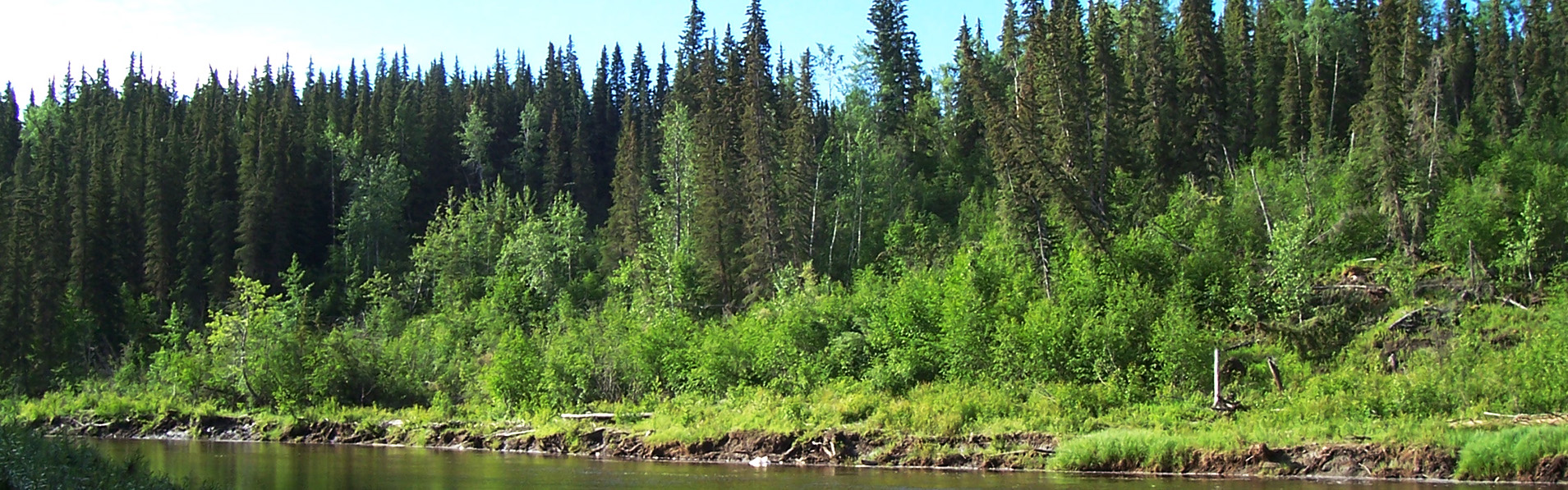 Alberta Parks