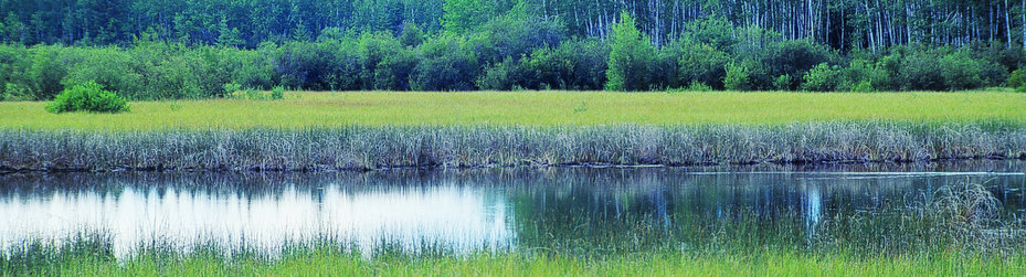 Alberta Parks