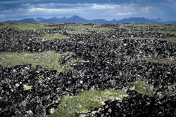 Plateau Mountain Patterned Ground
