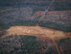 Clearwater River Patterned Saline Spring Fens