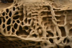 Humfrie Coulee Honeycomb