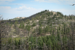 Wallace Creek Esker
