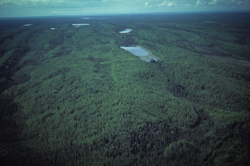 Cameron Hills Glacial Flutings