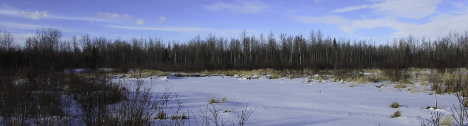 Alberta Parks