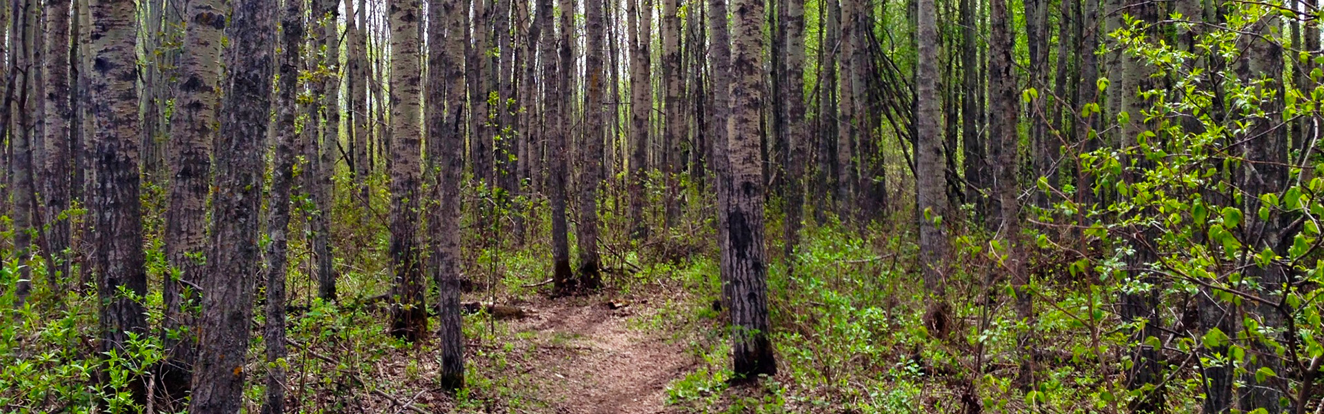 Alberta Parks