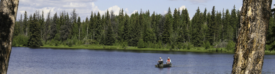 Alberta Parks