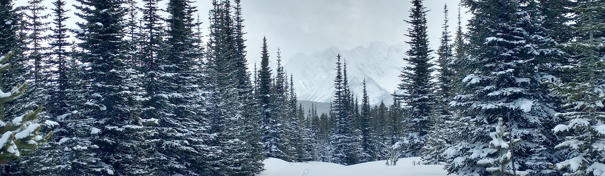 Alberta Parks