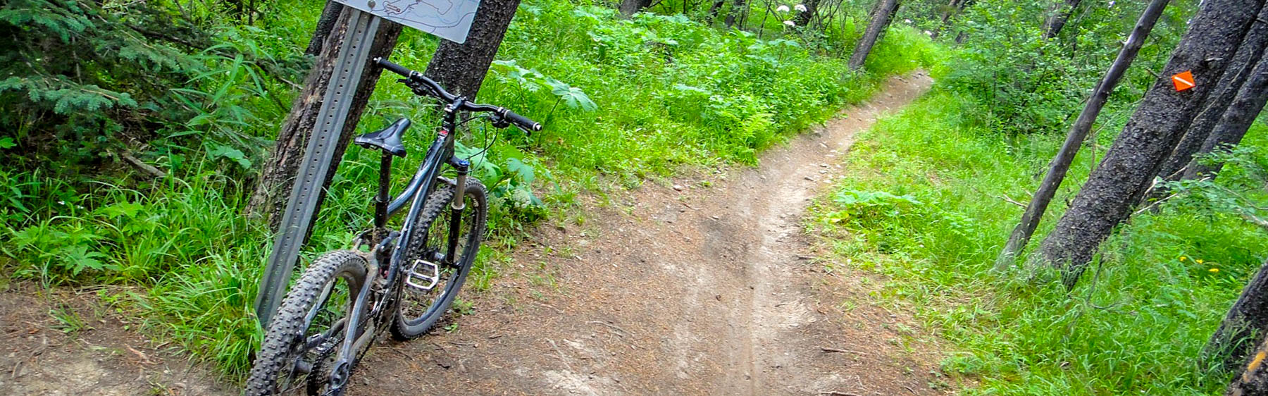 Alberta Parks