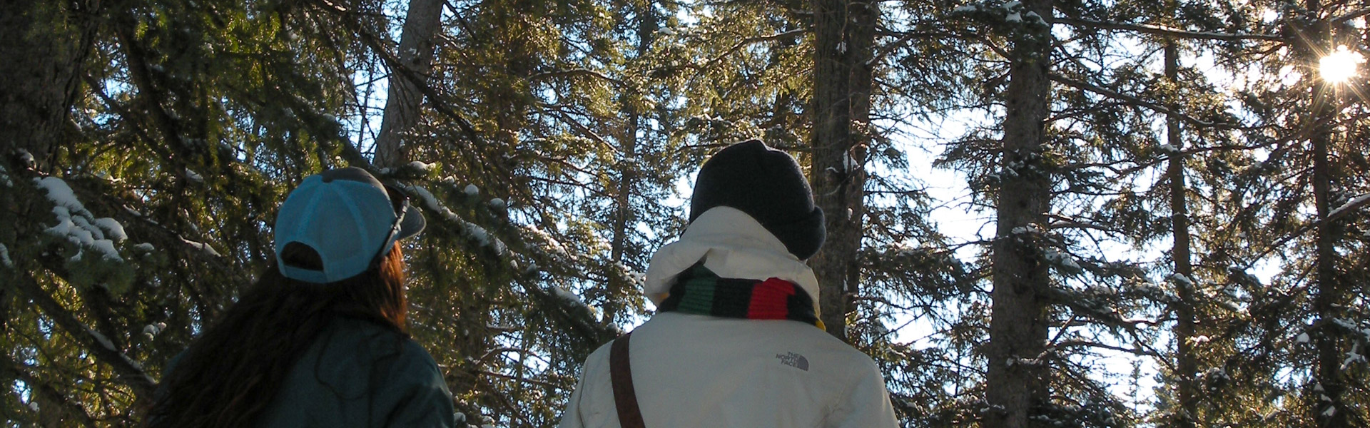 Alberta Parks