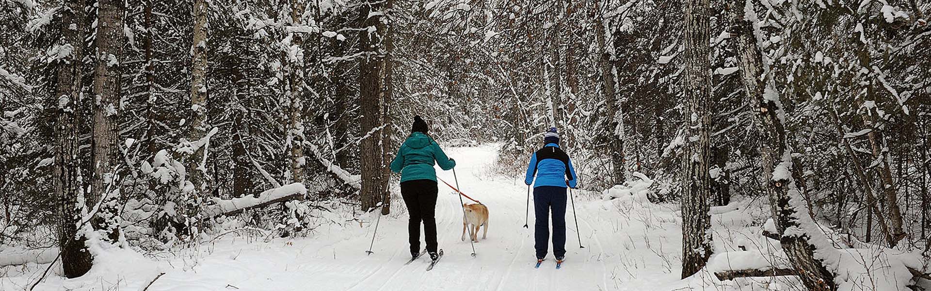 Alberta Parks