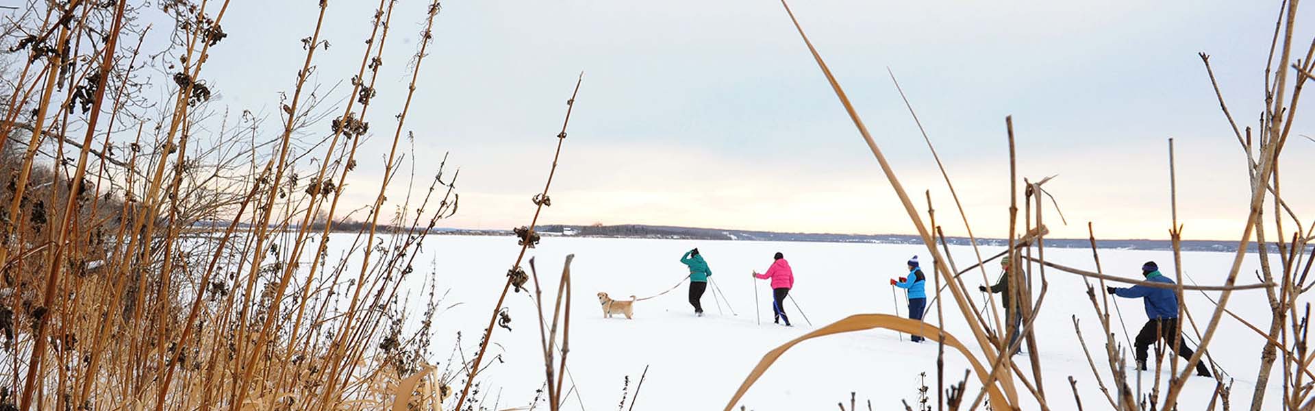 Alberta Parks