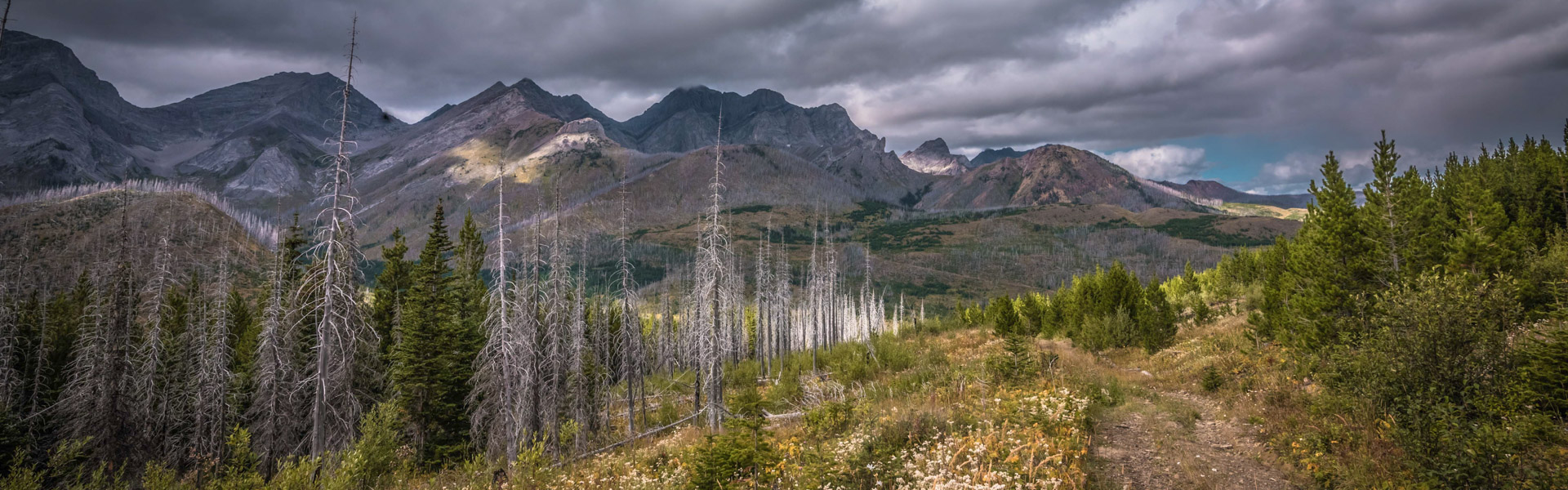Alberta Parks