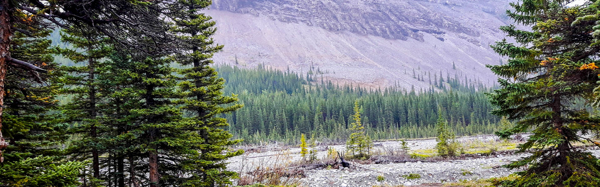 Alberta Parks