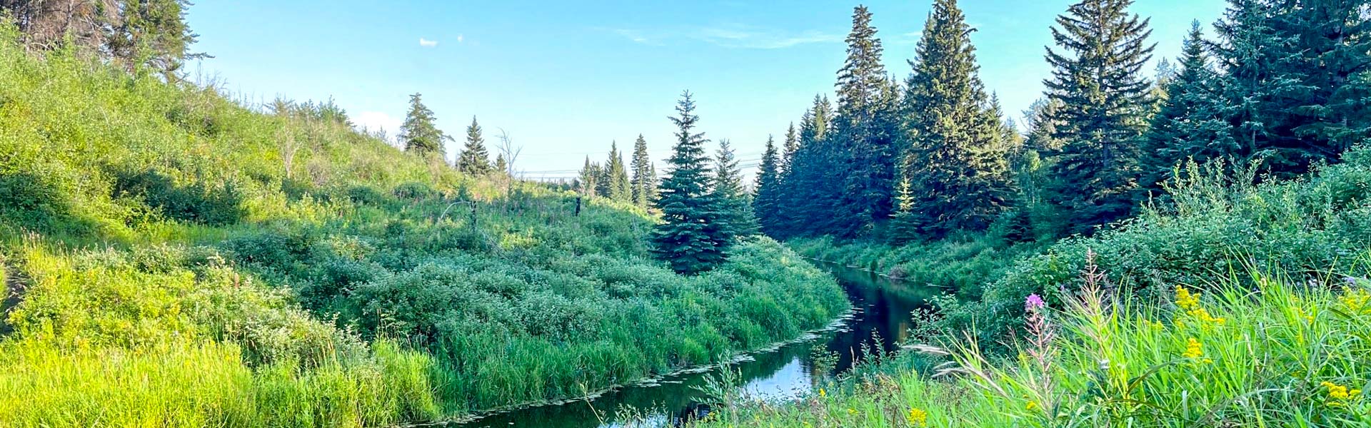 Alberta Parks