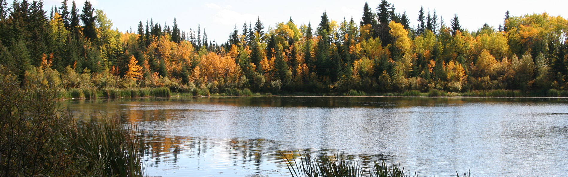 Alberta Parks