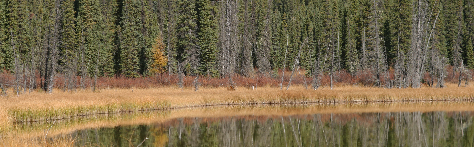 Alberta Parks