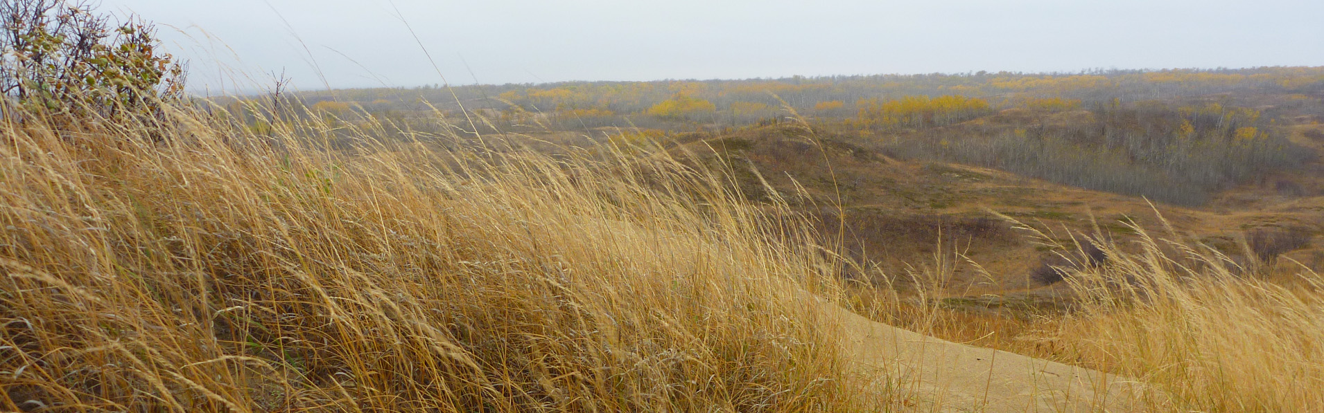 Alberta Parks