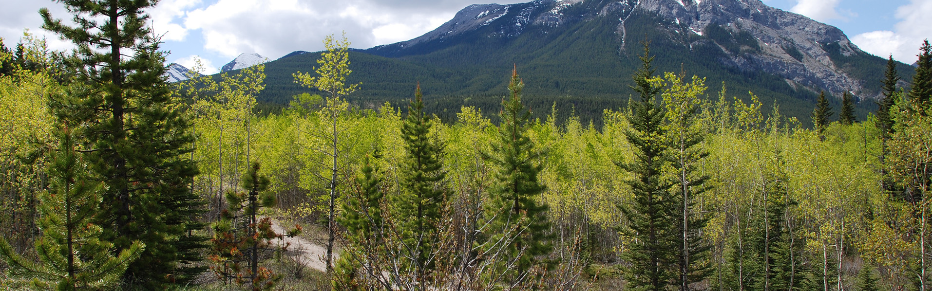 Alberta Parks