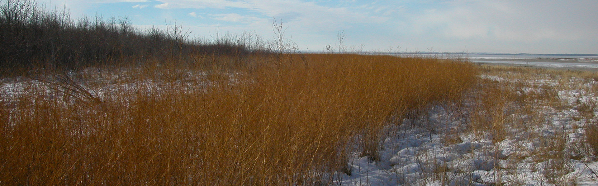 Alberta Parks