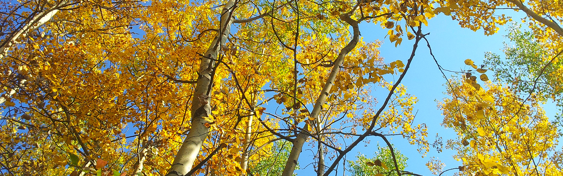 Alberta Parks
