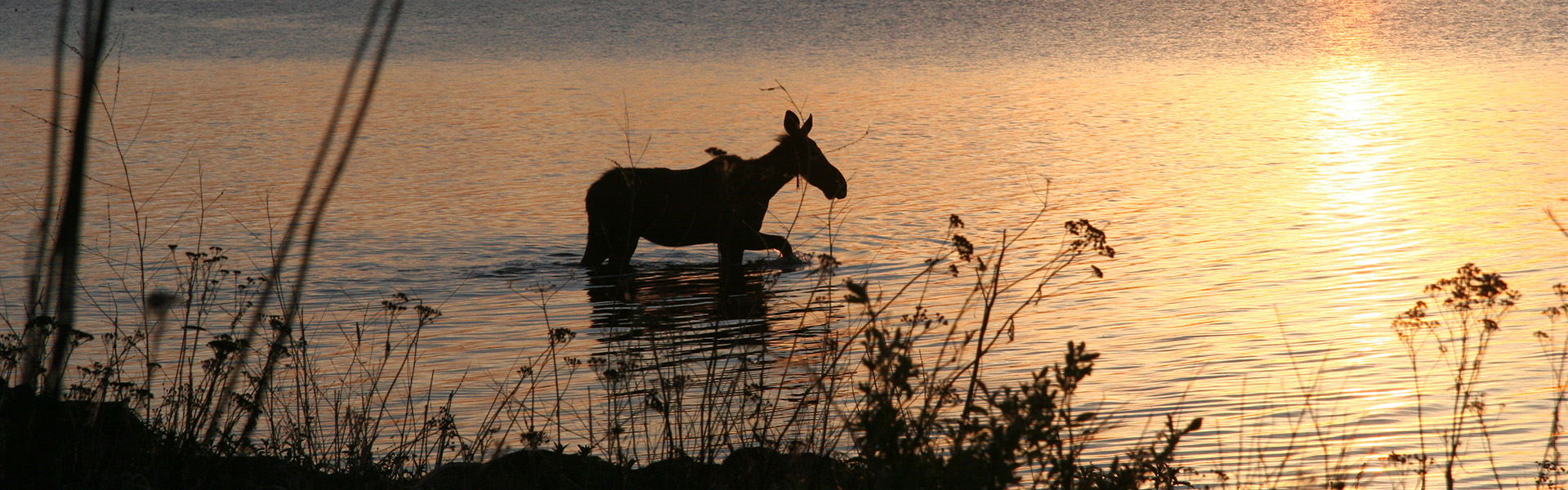 Alberta Parks