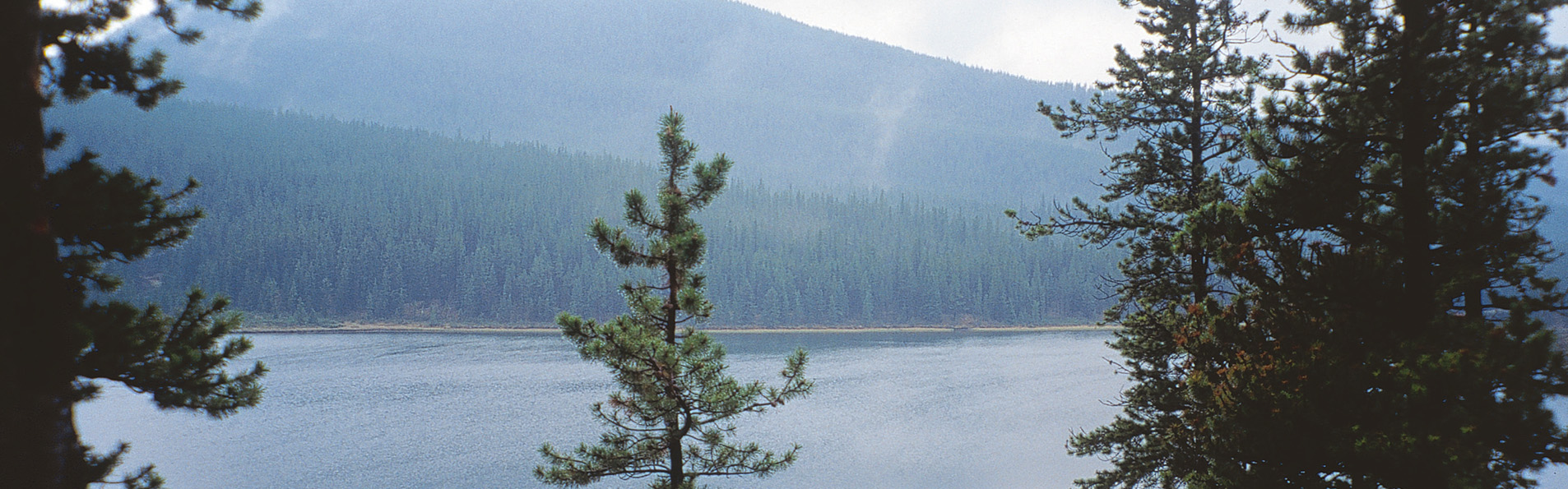 Alberta Parks