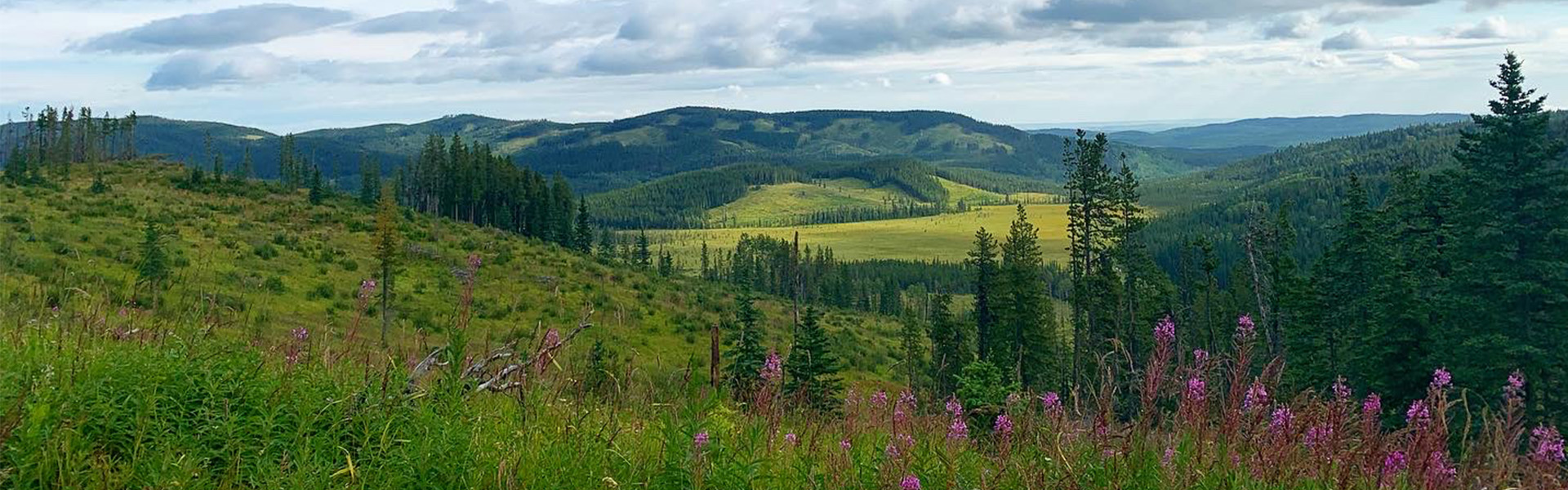 Alberta Parks