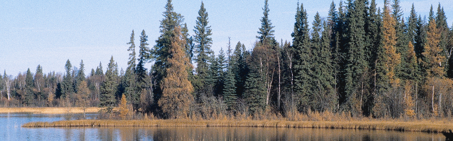 Alberta Parks
