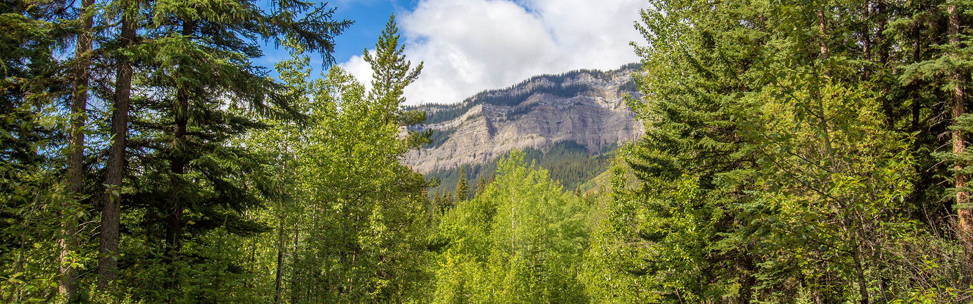 Alberta Parks