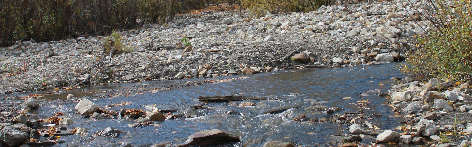 Alberta Parks