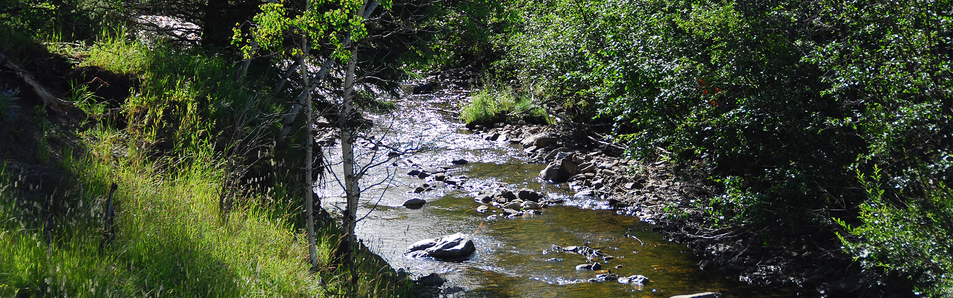 Alberta Parks