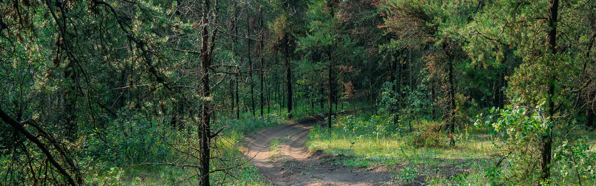 Alberta Parks