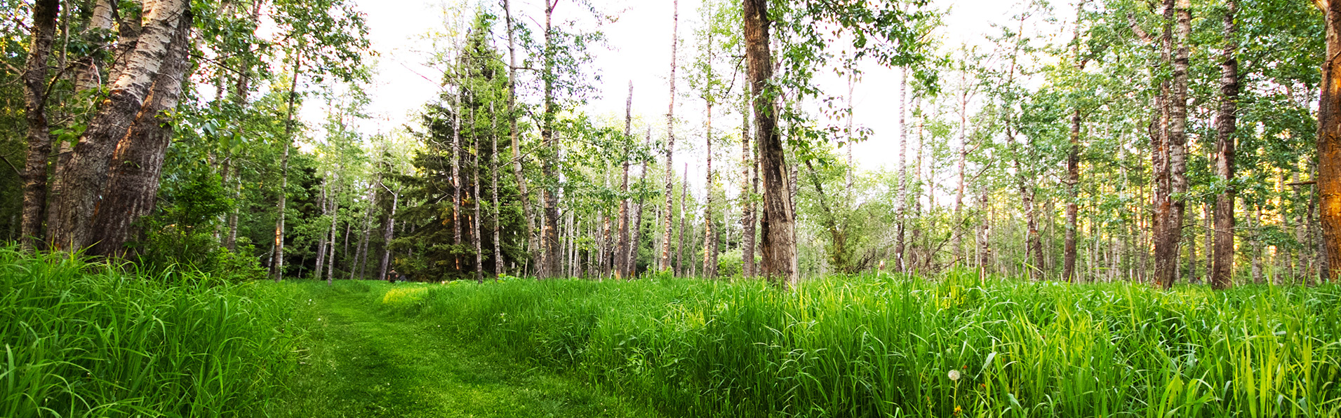 Alberta Parks